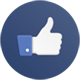 Facebook icon